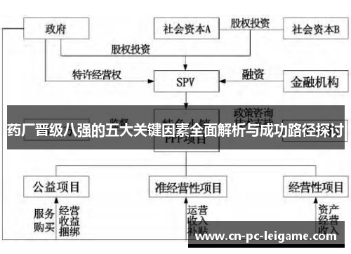 药厂晋级八强的五大关键因素全面解析与成功路径探讨