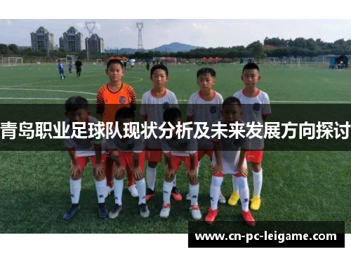 青岛职业足球队现状分析及未来发展方向探讨